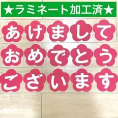 ★24時間以内発送★大きめ　あけましておめでとうございます　約13.5㎝　ラミ有