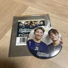 Item thumbnail for item 8376b757-cbe8-4b9a-a4d8-4aa352bce1c6