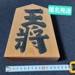 Item thumbnail for item 67ed4d9a-c2ce-4b94-bc48-1cb44295e9bd