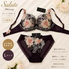 サルート 89Group G75 & M 限定発売コレクション ワコール - メルカリ