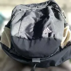 Item thumbnail for item c6f85eb8-08c5-4ff1-b529-2f5dc2f77c1c