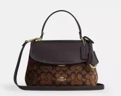 希少 COACH ミラ ワンショルダーバッグ ファー 茶色 Y2K 韓国 コーチ 