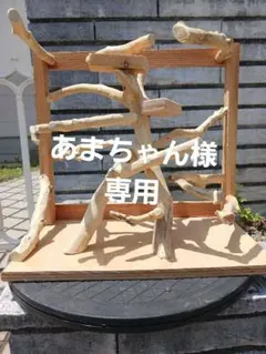 バードアスレチック バードアスレチックジム 小鳥、卓上スタンド 止まり木のサムネイル