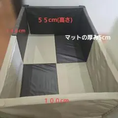 Solids リッズ Lizz特大 ぬいぐるみ 志季 FIDES - メルカリ