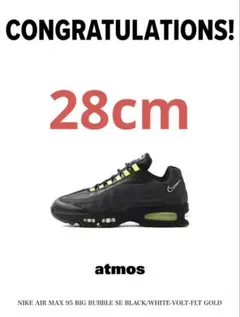 Nike Air Max 95 OG Big Bubble HRJK 28cm