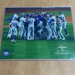 1998年 横浜ベイスターズ 優勝記念写真パネル 日刊スポーツ - メルカリ