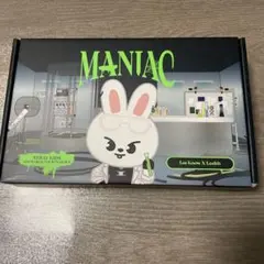 skzoo leebit スキズ　リノ　リービット outfit MANIAC