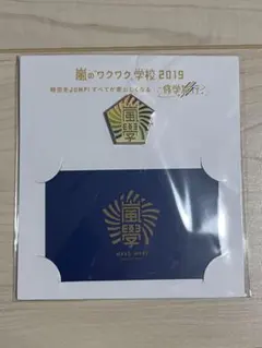 新品未開封 嵐 ワクワク学校 2019 ピンバッジ