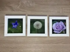 Item thumbnail for item 1411ca08-c7b9-498c-80d6-895e1d69722f