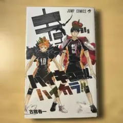 ハイキュー！！イラスト集 ハイカラ