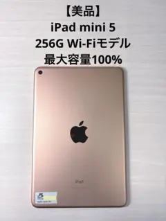 iPad mini 第5世代 256GB Wi-Fiモデル ゴールド