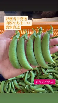 최대 수익률로 인해 금액이 증가하고 있습니다!아, 잠깐 엿보세요!