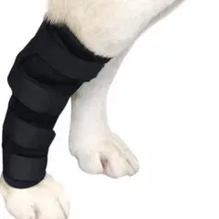 Item thumbnail for item 7ed4866a-fa2e-441f-80a9-2c436ef7df97