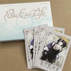 &TEAM Back to Life YUMA インスタントフォトカード　トレカ