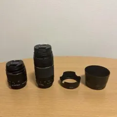 ☆超望遠600mmレンズ CANON EF 100-300 ＋ 2倍レンズ - メルカリ
