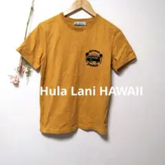 Hula Lani HAWAII 刺繍 Tシャツ トップス ハワイアン お洒落のサムネイル