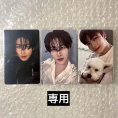 【Ruka様 専用】トレカ3枚