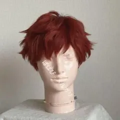即購入⭕️】多聞くん今どっち！？ 福原多聞ウィッグ コスプレ
