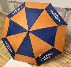 Item thumbnail for item a55e49ea-4d0a-48de-ae6e-581a20217022