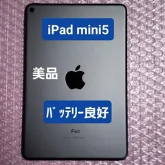 美品　iPad mini 第5世代　バッテリー良好　Wi-Fi　64GB