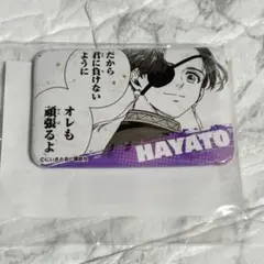 ウィンドブレイカー　ウィンブレ セガ　GIGO セリフ付き缶バッジ 蘇枋隼飛