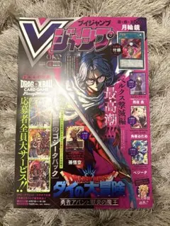 Vジャンプ 5月特大号 付録無し