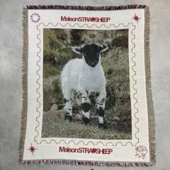 MAISON STRAYSHEEP STRAYSHEEP RUG BQ69