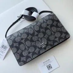 COACH コーチ ショルダーバッグ 長財布 ガンメタル ブラック シルバー 
