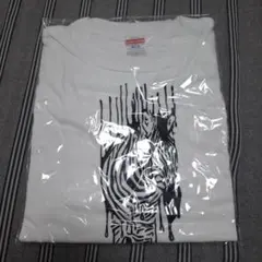 Item thumbnail for item eee99ccc-7111-4b37-845b-e029b4552e46