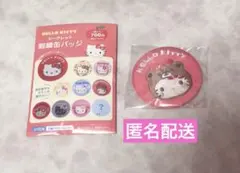 ハローキティ シークレット 刺繍缶バッジ 未使用品