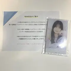 日向坂46 ひなこれ 第21回アニバーサリーイベント コンプ特典セット