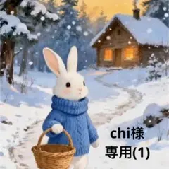 chi様 リクエスト 10点 専用(1)