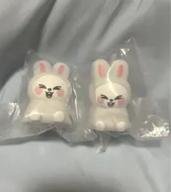 SKZOO ライトマスコット リービット2個セット