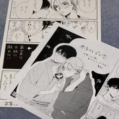 冬知らずの恋　夏野寛子