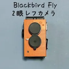 2026年最新】blackbird flyの人気アイテム - メルカリ