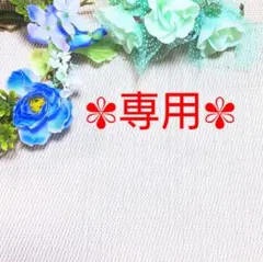 【☆マカロン☆様専用ページ】タグ 値札