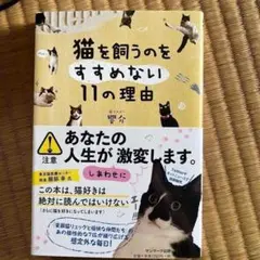 猫を飼うのをすすめない11の理由