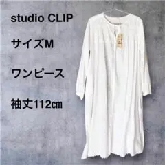 Item thumbnail for item 224a4cd3-fc60-43b5-a26f-36193ff730be