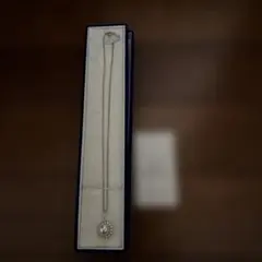 Item thumbnail for item 423e3a7c-fa62-4c2b-8045-3e56dd64f4db