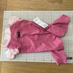 Item thumbnail for item 2db28b3d-e34b-4021-954e-926d3a3a2049