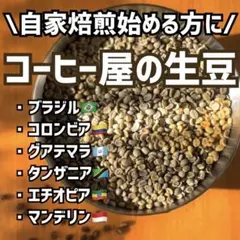 コーヒー屋の生豆◆自家焙煎の初心者向け6種類セット★合計300g(各種50g)のサムネイル