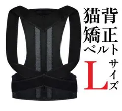 姿勢矯正 背筋矯正 ベルト サポーター 猫背矯正 腰の痛み 男女兼用 Lサイズ