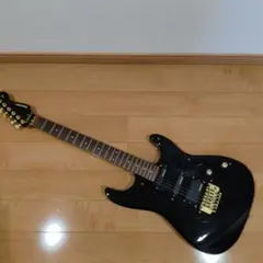 FERNANDES THE FUNCTION エレキギター 本体