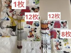 東京ディズニーランド　紙袋
