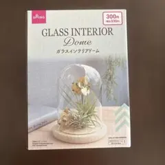 ガラスインテリアドーム 6個セット ダイソー 入手困難 ドライフラワー 