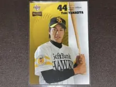 柳田悠岐 ルーキーカード　bbm epoch ホークス　柳田　近藤　周東　野球