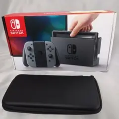 Nintendo Switch 本体 グレー 付属品完備 ケースとmSDカード付