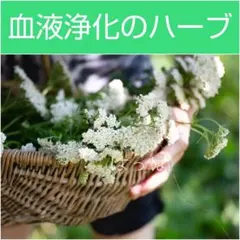 J太郎様 リクエスト 5点 まとめ商品