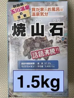 2026年最新】焼山石の人気アイテム - メルカリ