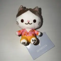 ぬいぐるみ　中古 SEVENTEEN ANIMAL COORDY 猫 ぬいぐるみ～JUN～ - メルカリ